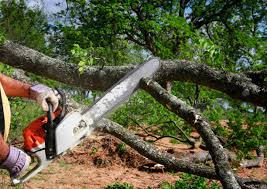 Best Weed Control  in East Sonora, CA